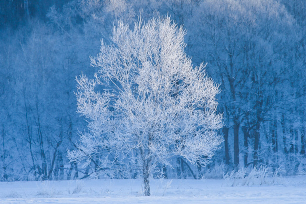 年末年始休業のお知らせ